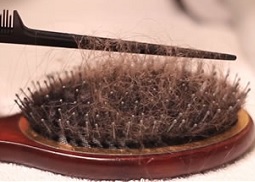 Brosse sale salon de coiffure